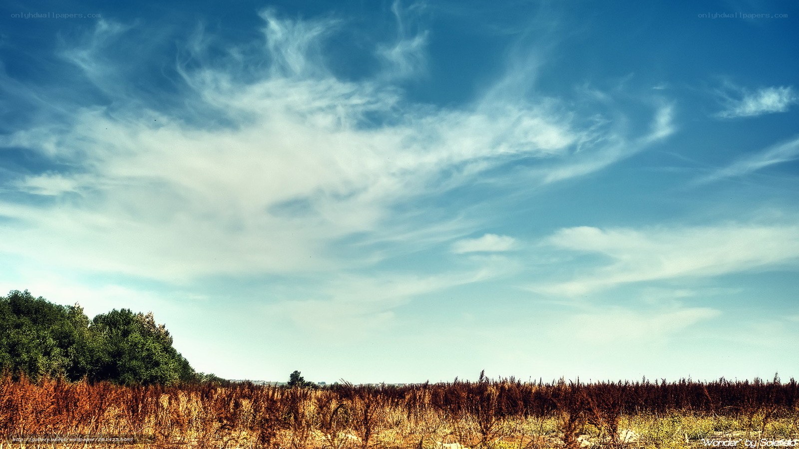 Blue sky with wispy clouds