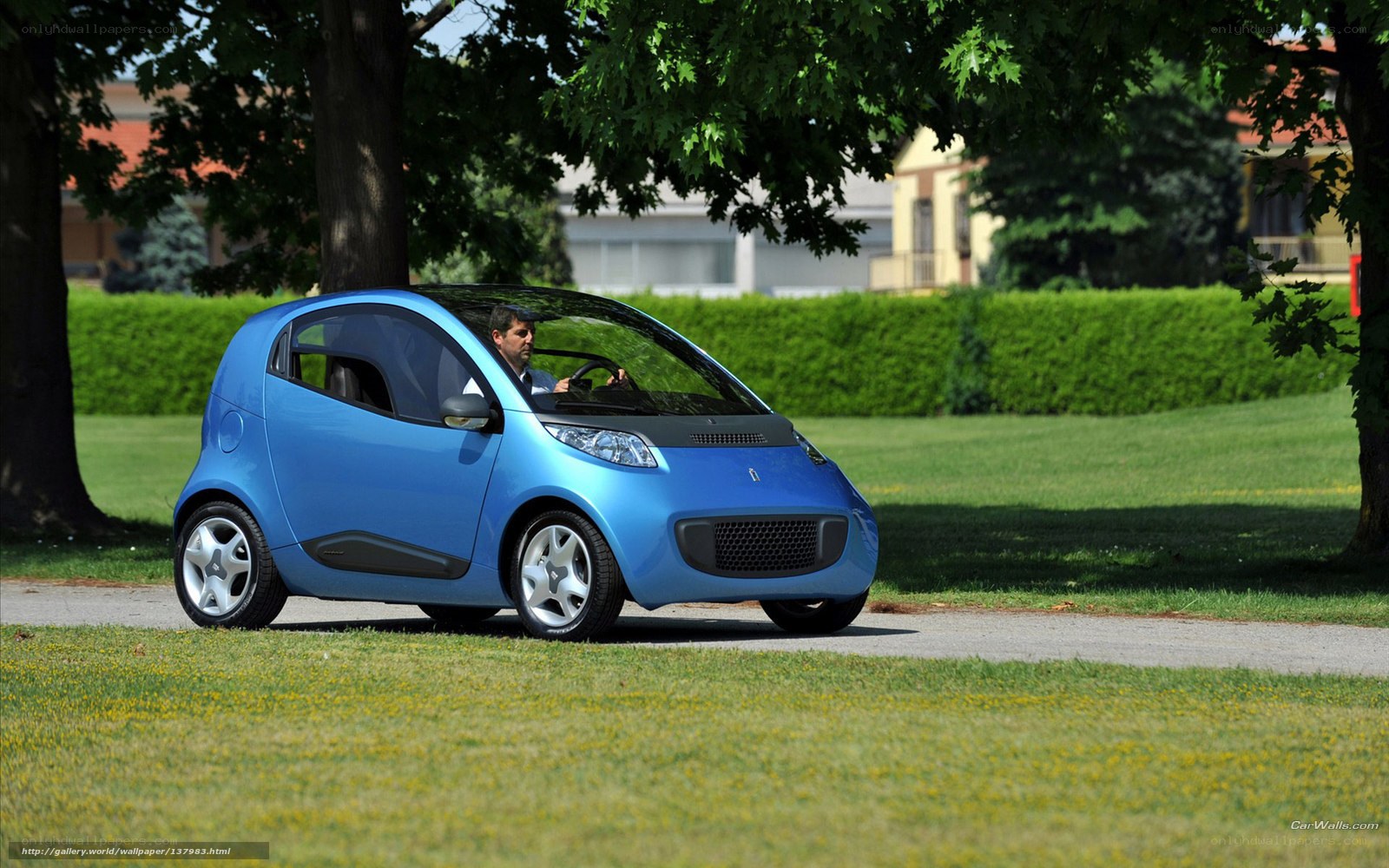Blue smart car on a park path