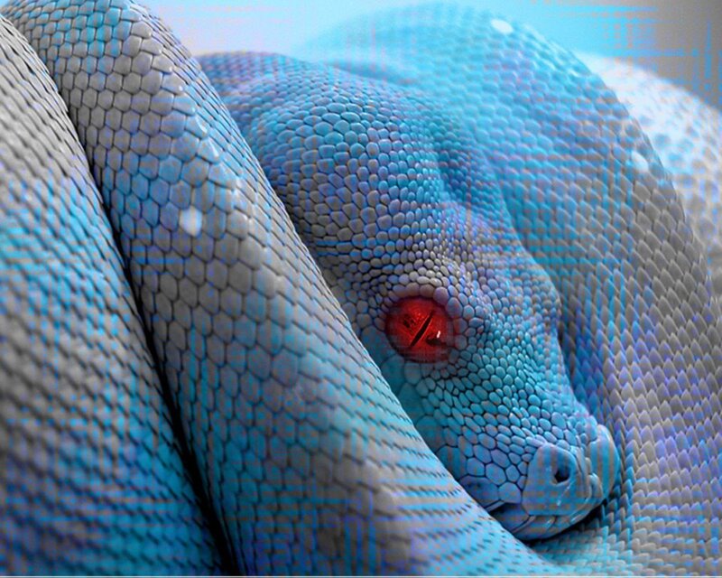 blue snake with red eye