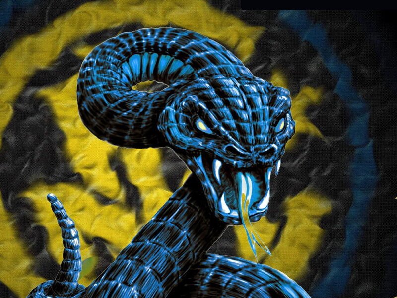 blue snake with yellow eyes