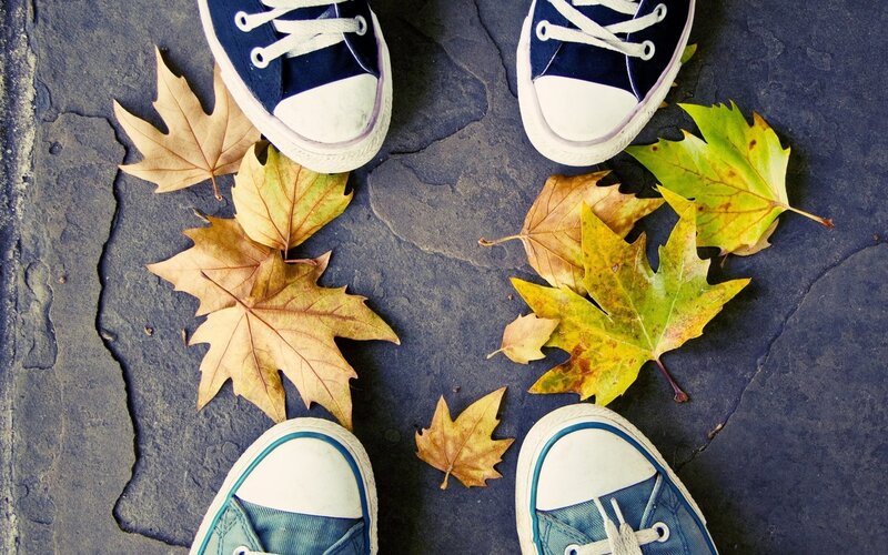 Blue Sneakers and Leaves