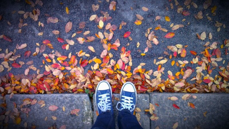 blue sneakers on autumn leaves