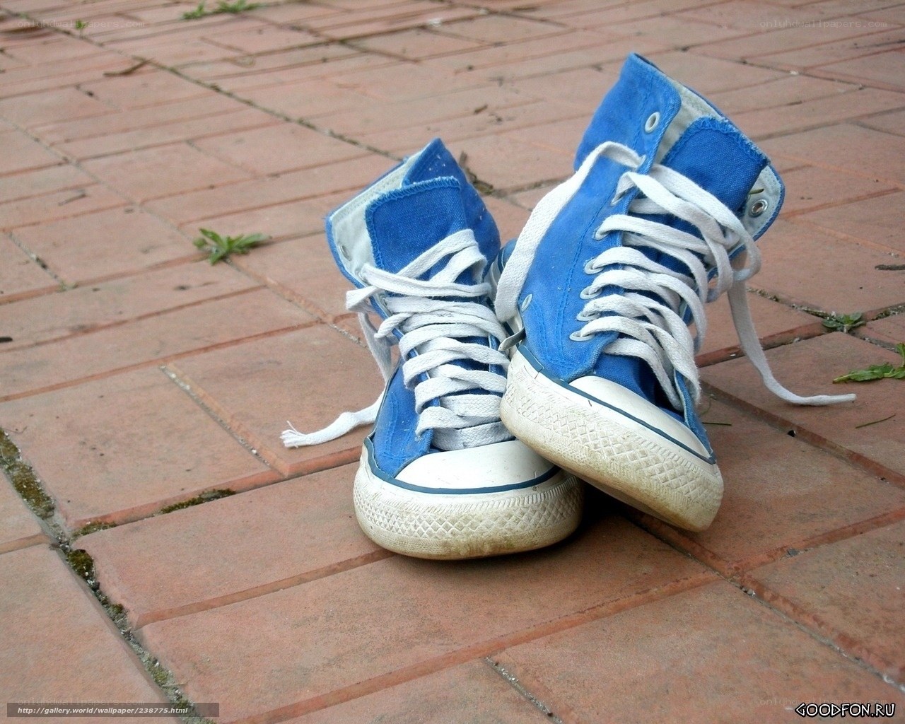 blue sneakers on brick pavement