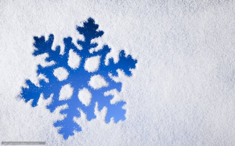blue snowflake in the snow