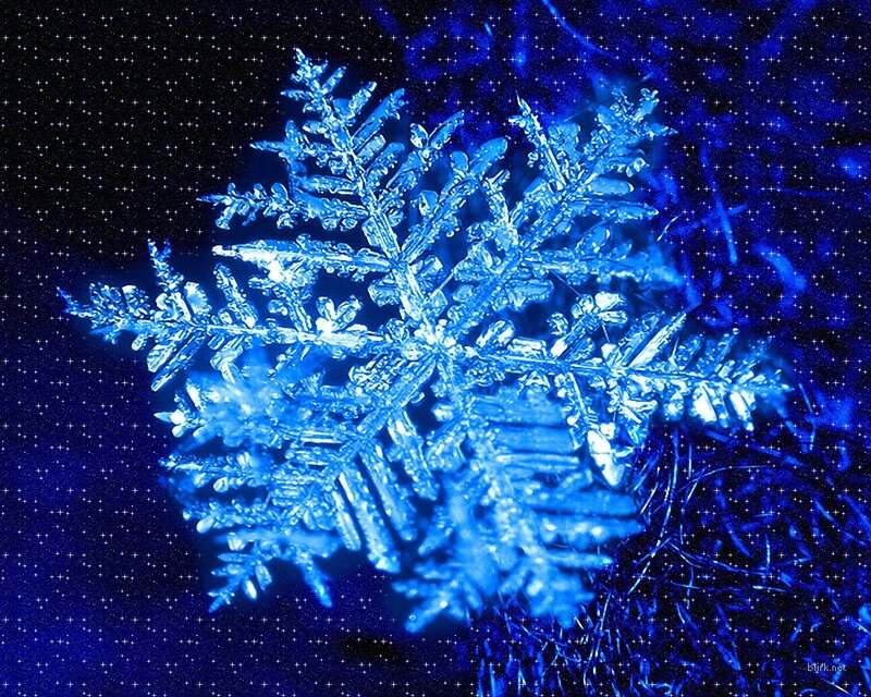 blue snowflake on dark background