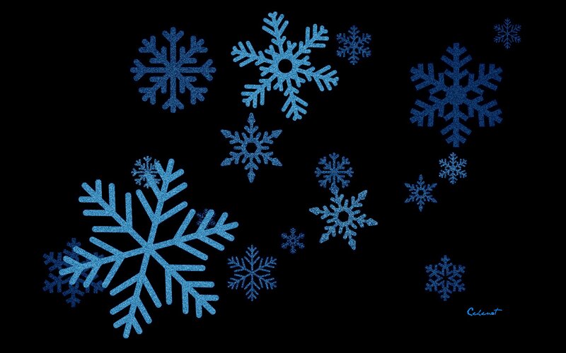 Blue Snowflakes on Black — Calm