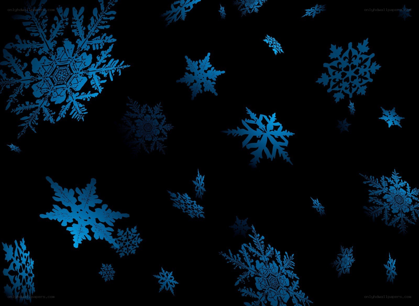 blue snowflakes on black