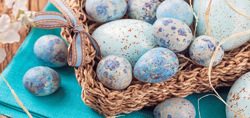 Blue Speckled Eggs in Basket
