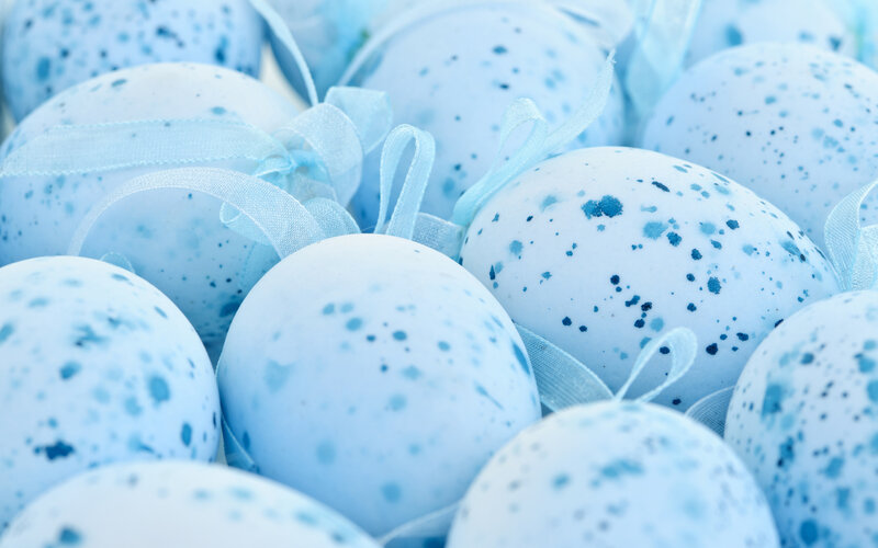 Blue Speckled Eggs