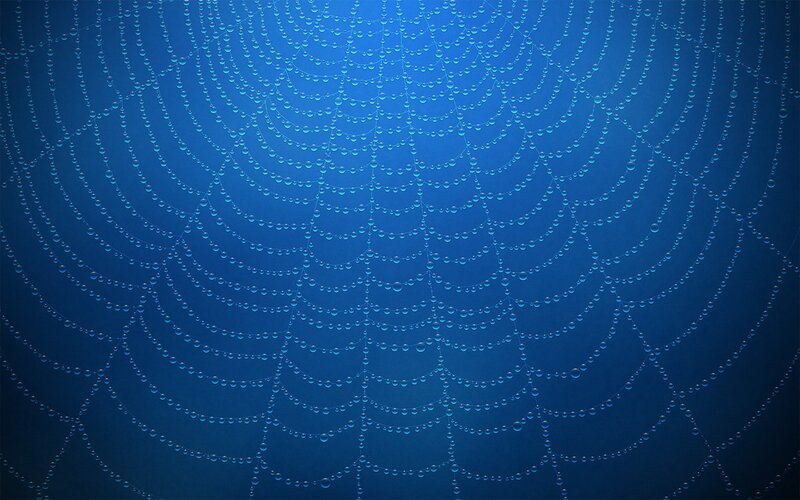 blue spider web with dew drops