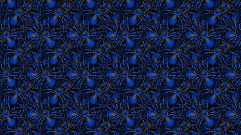 Blue Spiders Pattern
