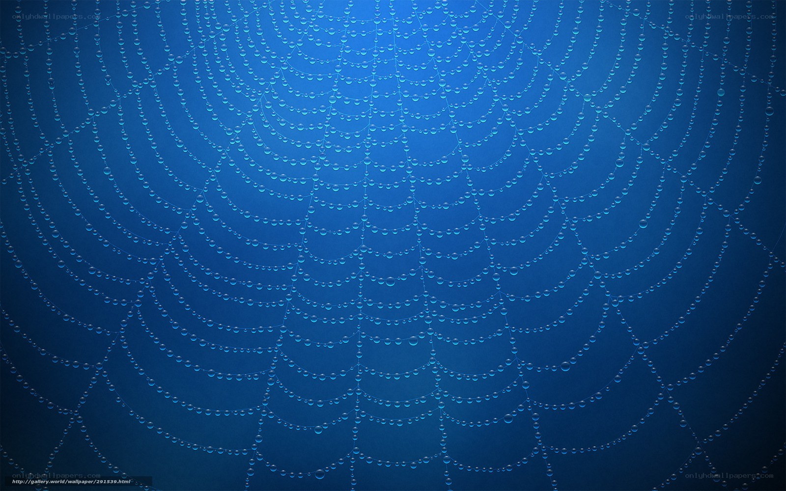Blue spiderweb with dew drops