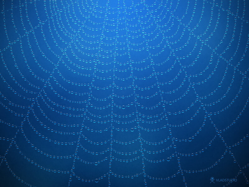 Blue spiderweb with dew drops