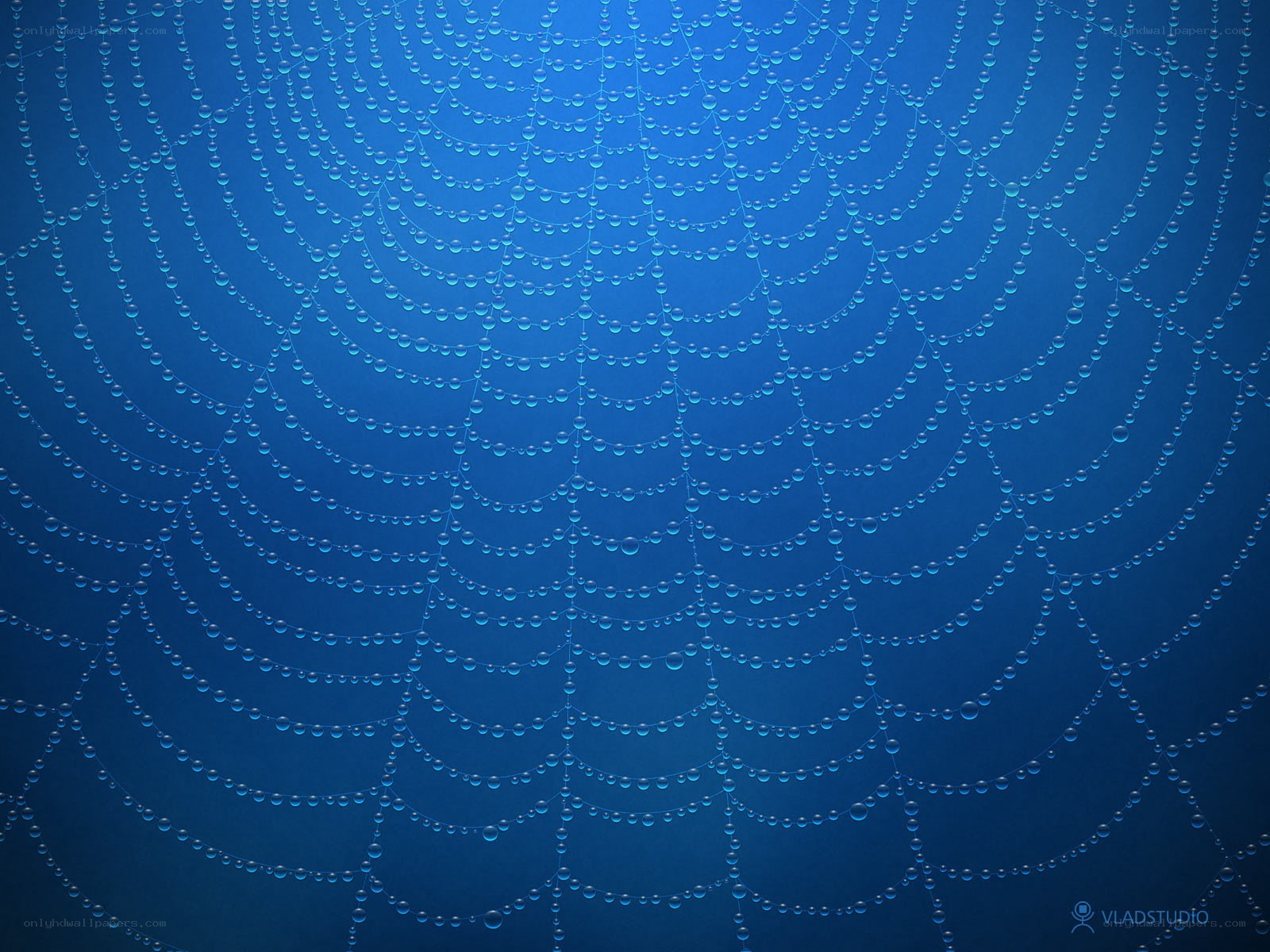 Blue spiderweb with dew drops