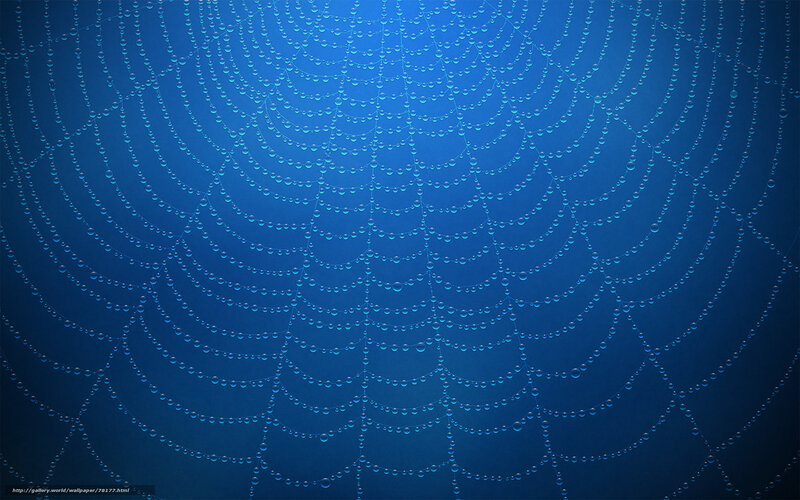 Blue spiderweb with dew drops
