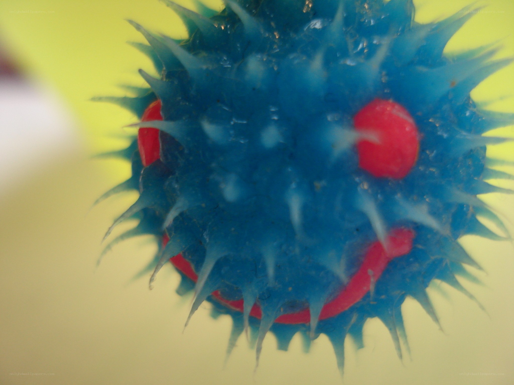 blue spiky object with red spots