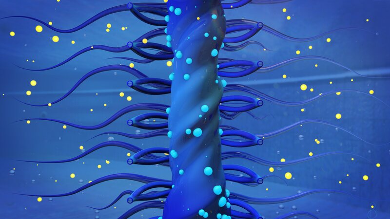 Blue Spiral Structure