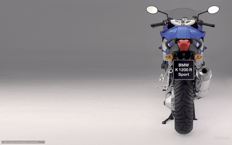Blue Sport Motorcycle — Neutral, Photograph, Rear View