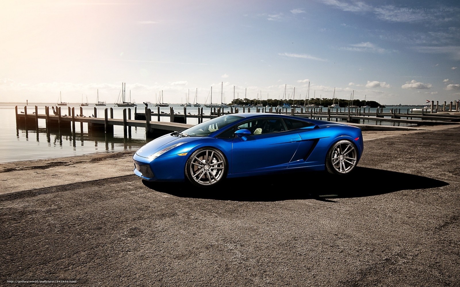 Blue sports car at marina