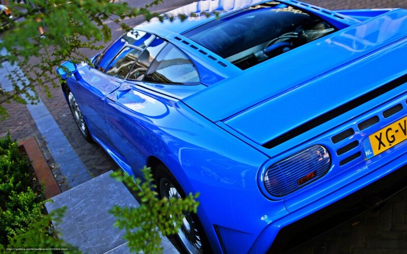 Blue Sports Car — Calm, Afternoon, Photograph, Tree, Sidewalk