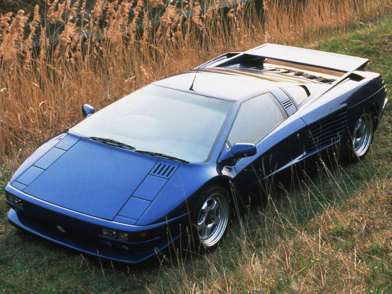 blue sports car in field