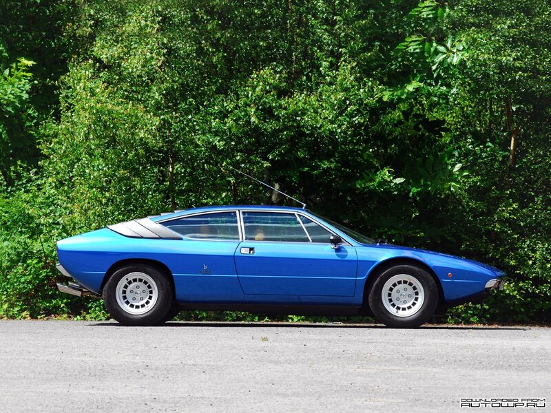 blue sports car in forest