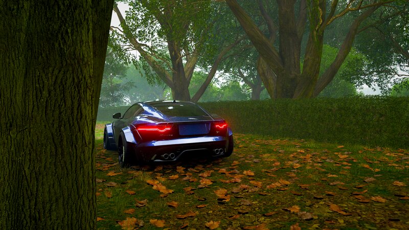 Blue Sports Car in Forest — Green