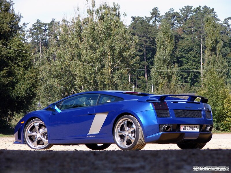 blue sports car in forest