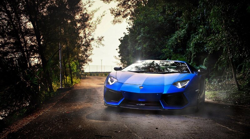blue sports car on forest road