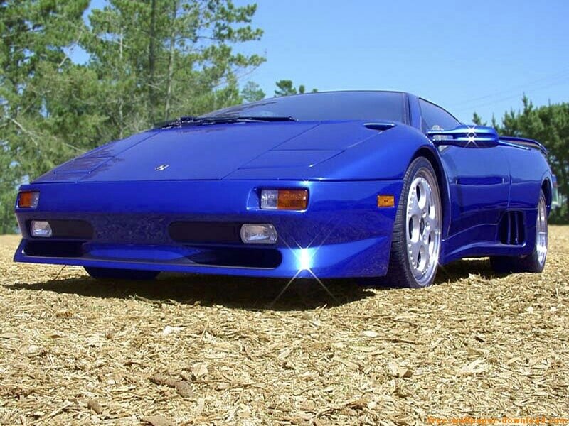 blue sports car on mulch