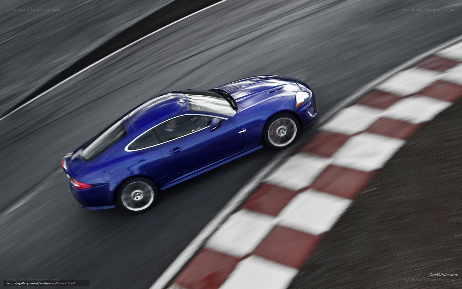 blue sports car on racetrack