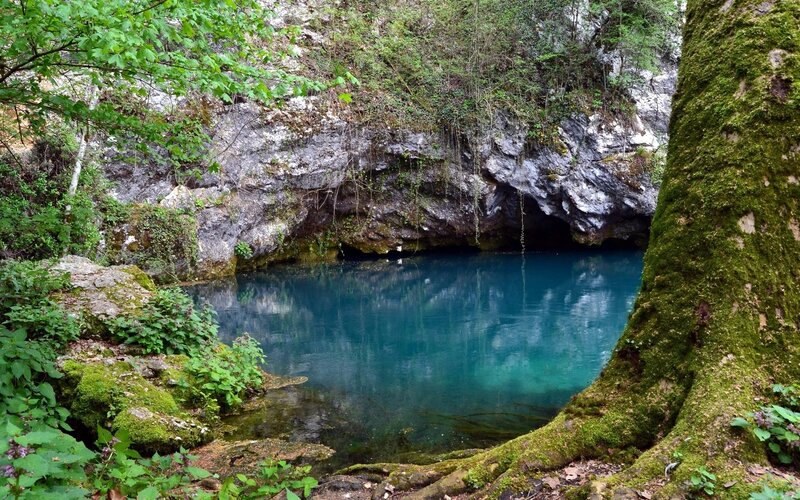 Blue spring in forest