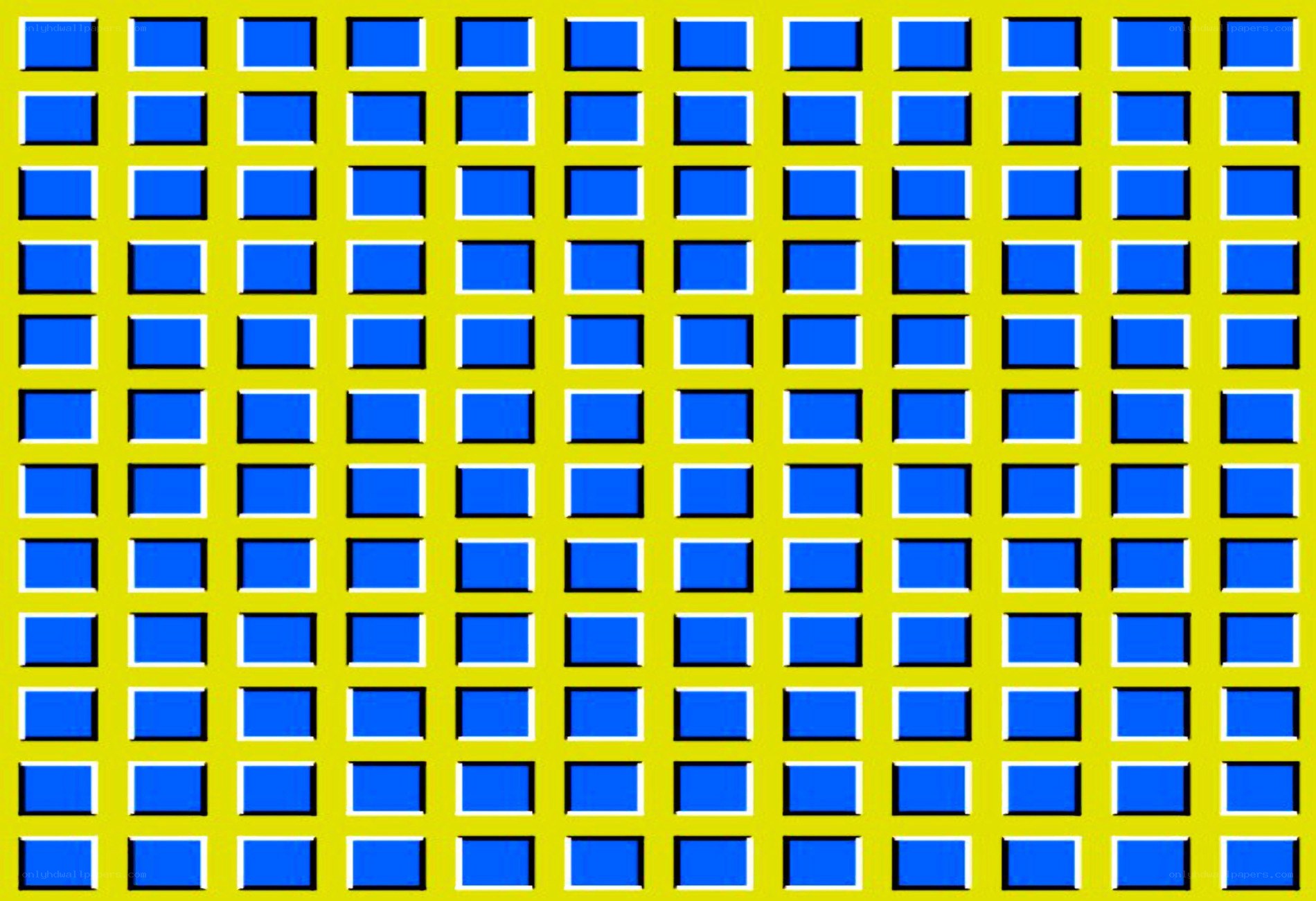 blue squares on yellow grid