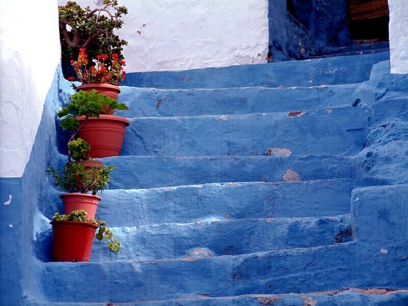 blue stairs with potted plants