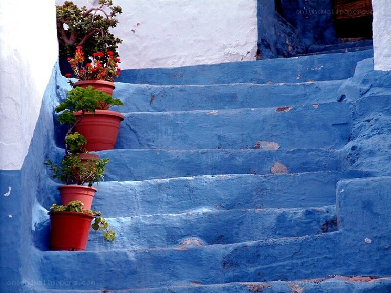 blue stairs with potted plants