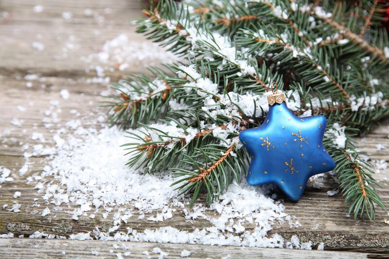 Blue star ornament on snowy branch