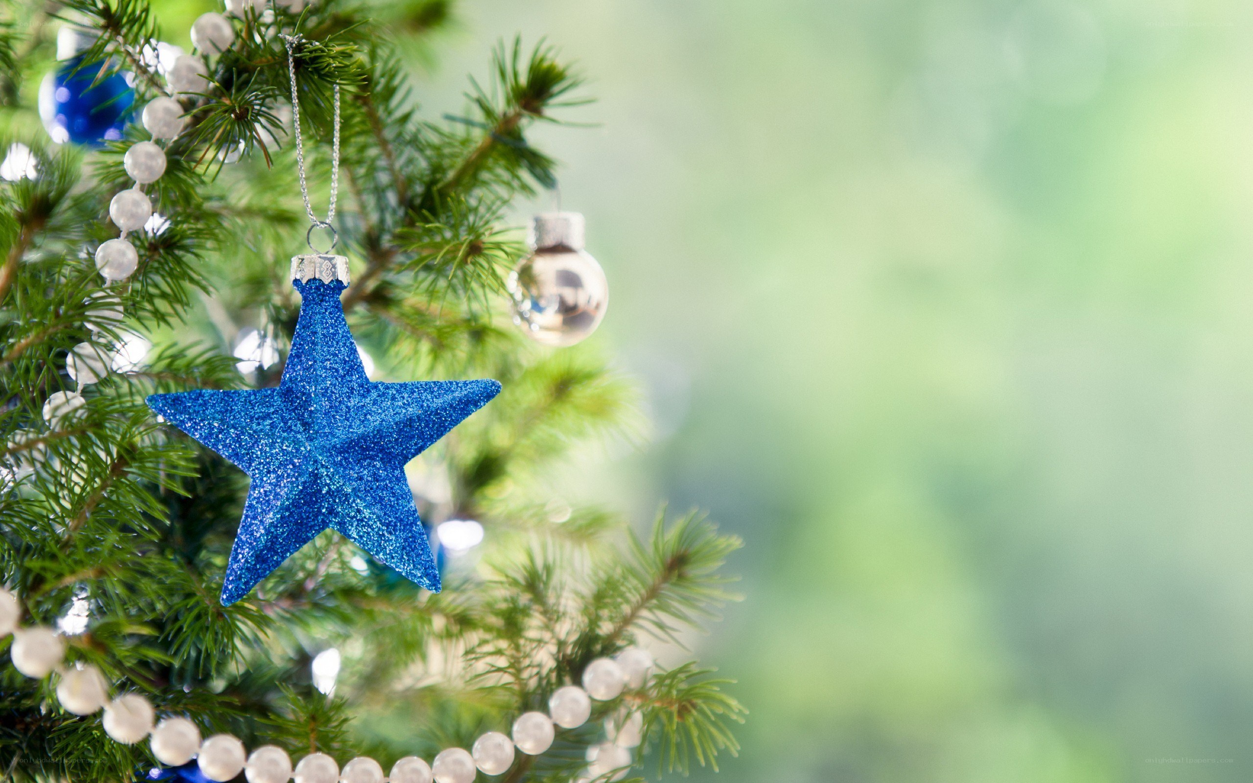 blue star ornament on tree