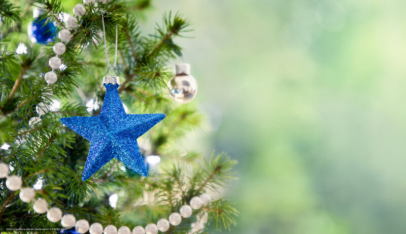 blue star ornament on tree