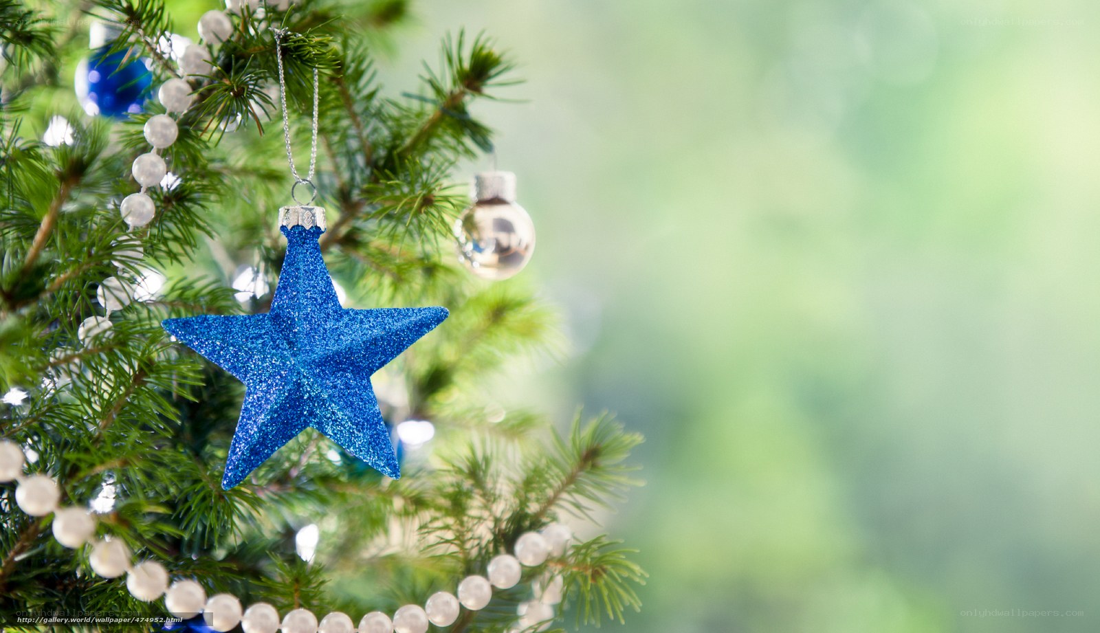 blue star ornament on tree
