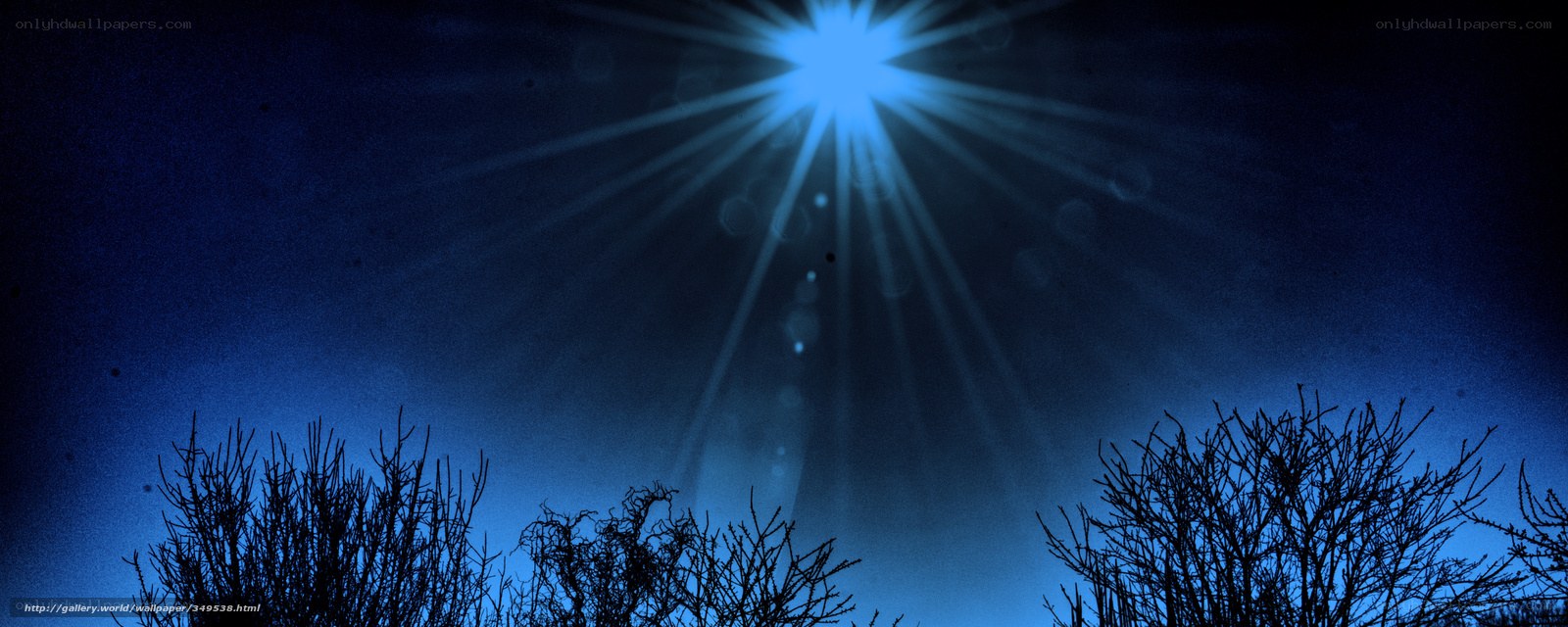 Blue starburst over silhouetted trees