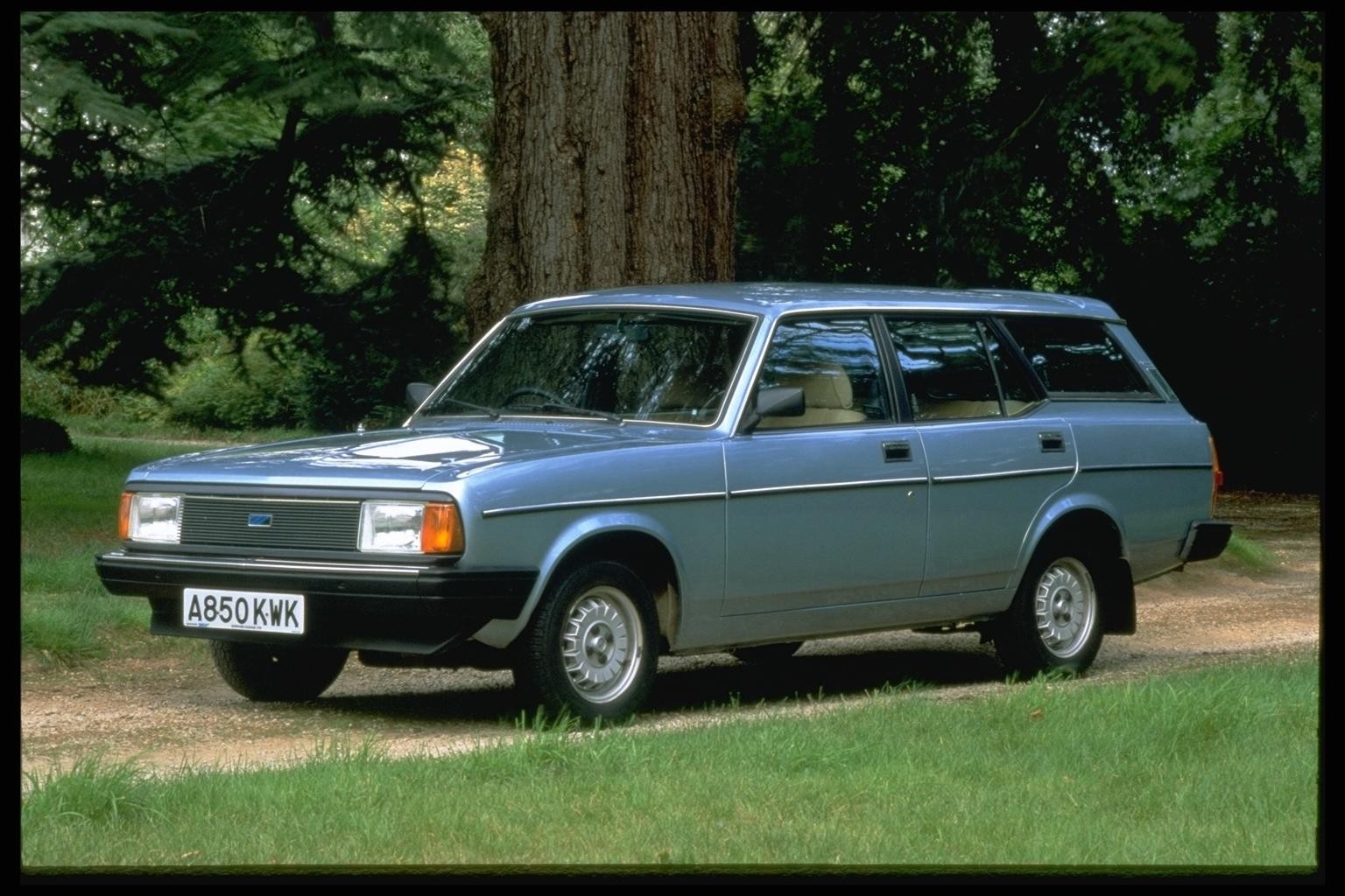 blue station wagon in forest