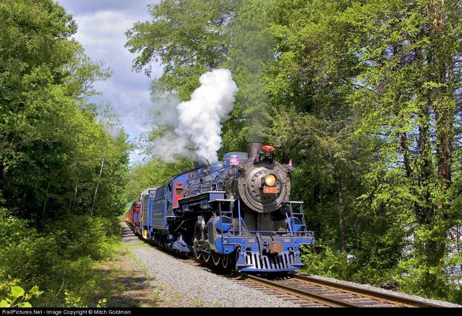 Blue steam train in forest