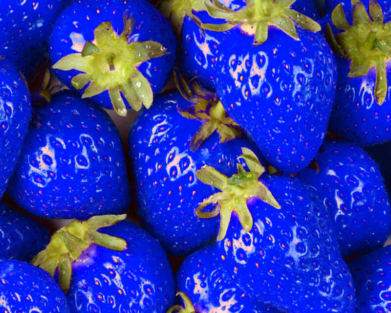 blue strawberries close-up