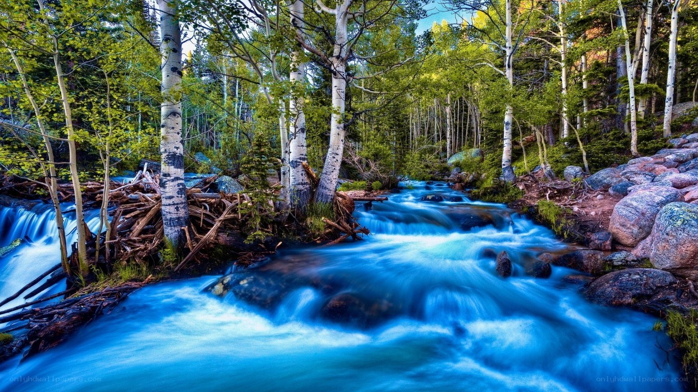 Blue Stream in Aspen Forest