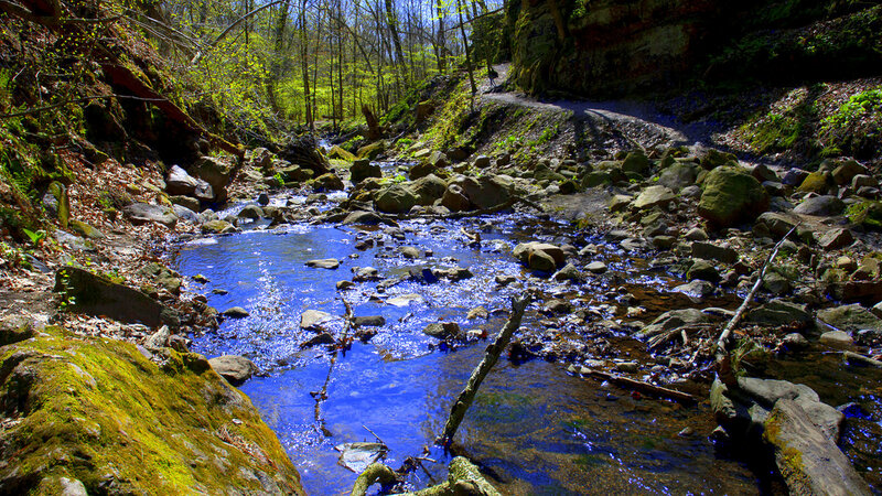 Blue Stream in Forest — Serene, Spring