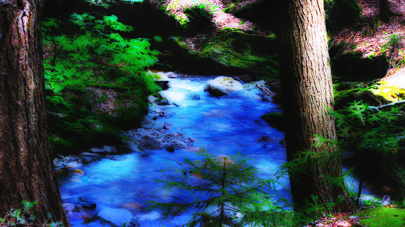 Blue Stream in Forest — Serene