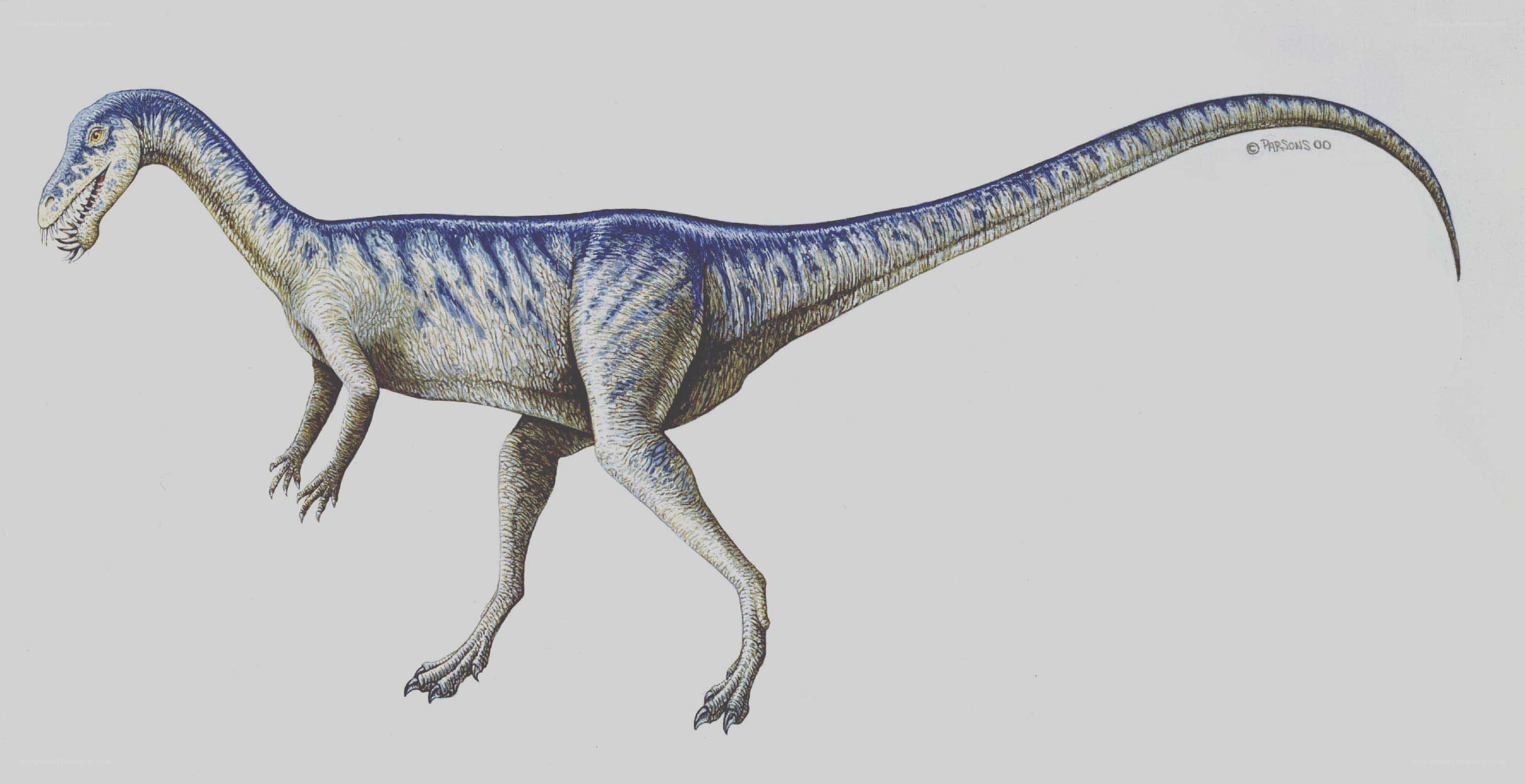 blue-striped dinosaur illustration