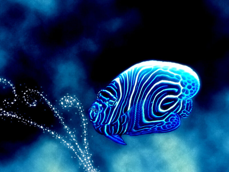 Blue Striped Fish