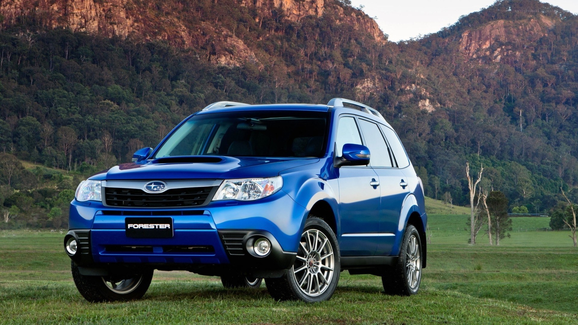 Blue Subaru Forester in a field