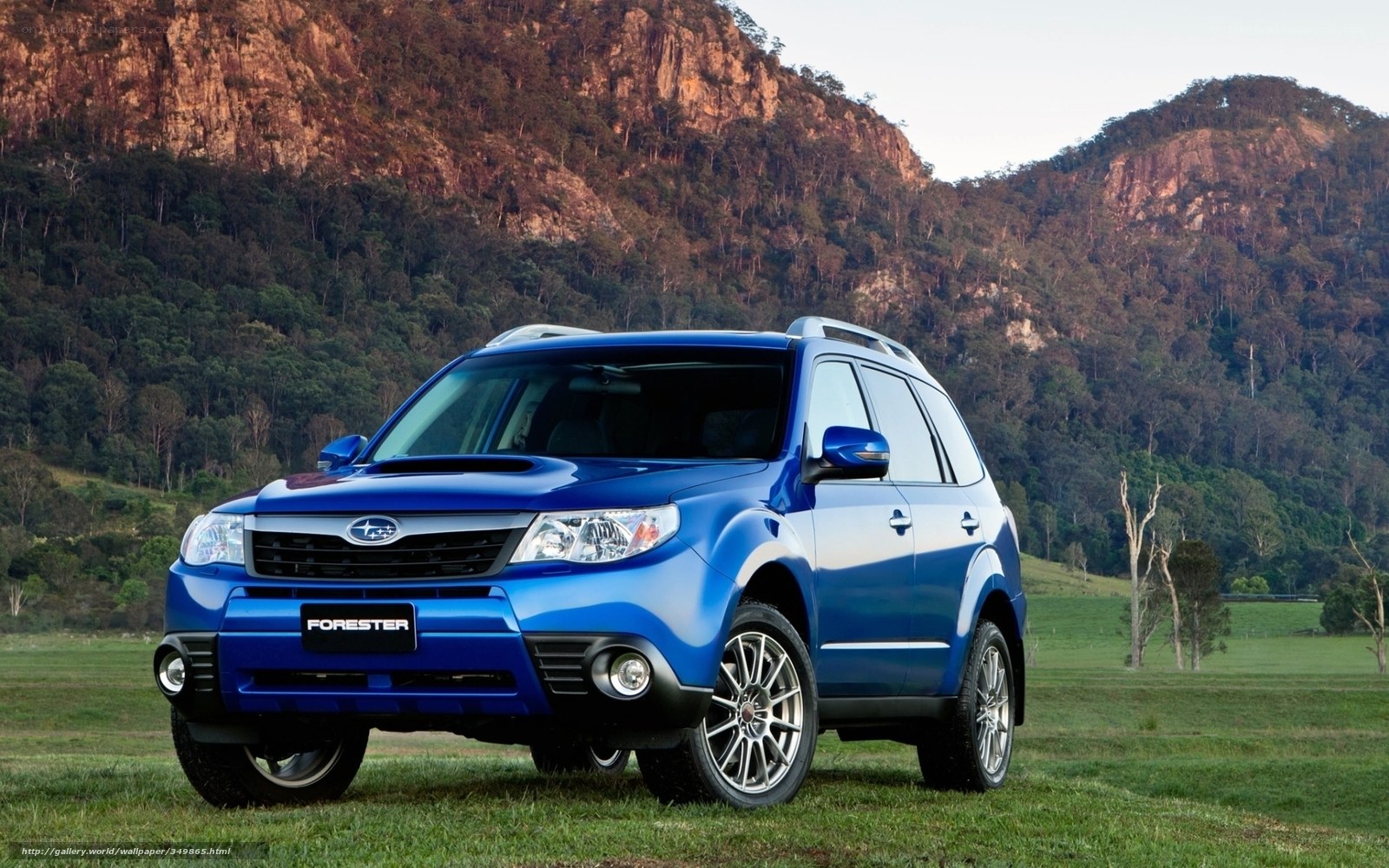 Blue Subaru Forester in a field